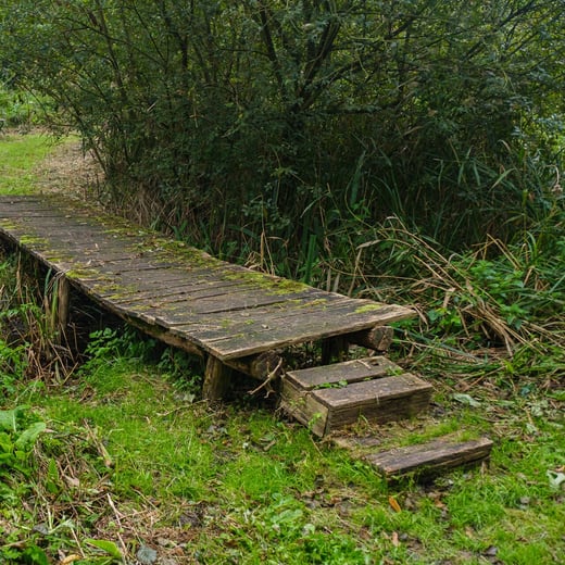 natuurpuntwandelingen