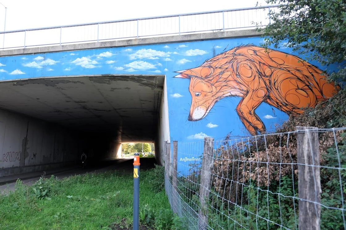 onder-de-battenbrug-werd-een-ecotunnel-gerealiseerd  Wannes Vansina voor HLN