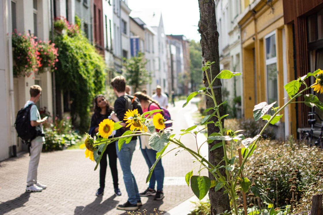 tuinstraat-antwerpen